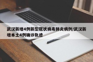 武汉新增4例新型冠状病毒肺炎病例/武汉新增本土4例确诊轨迹
