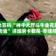 房卡秒懂“泡泡娱乐房卡”详细房卡教程-哔哩哔哩.
